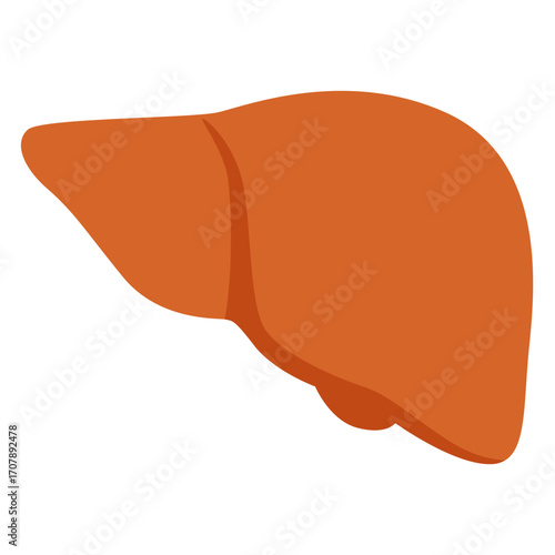 Brown liver with lobed shape, vital organ illustration perfect for medical or biology education.

