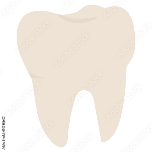 White human tooth with crown and root, dental structure illustration ideal for health or education themes.

