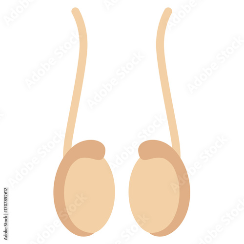 Pair of beige testicles with spermatic cords, male reproductive organ illustration for medical or biology content.

