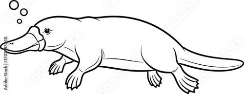 Platypus outline drawing vector illustration coloring page