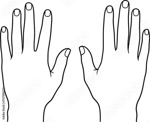 Outline drawing of two hands fingers nails hand anatomy art