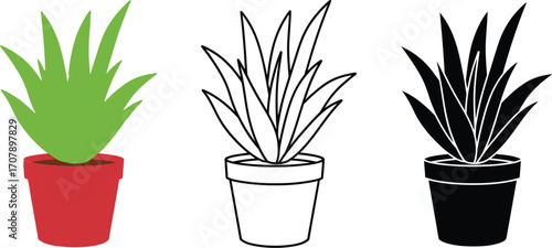 Aloe vera plant vector illustration indoor houseplant set