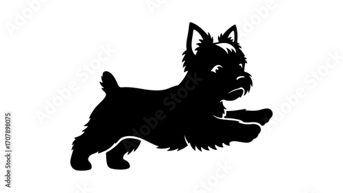 Yorkshire terrier silhouette with transparent background