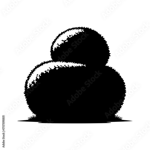 Rounded shrubbery with transparent background