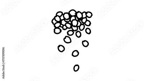 Scattered seeds with transparent background