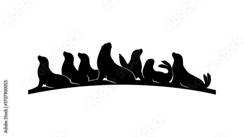 Seals basking on rocks with transparent background