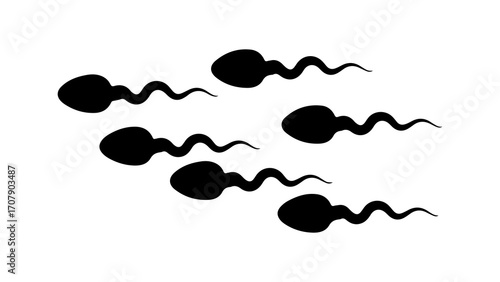 Sperm cells with transparent background