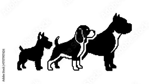 Three dogs walking with transparent background