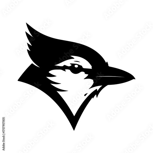 Toronto Blue Jays mascot head with transparent background