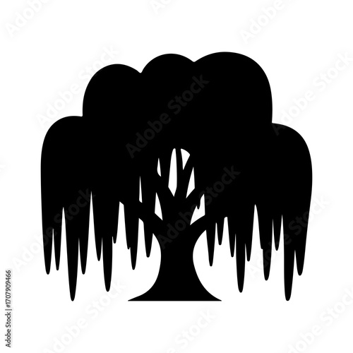Weeping willow tree with transparent background