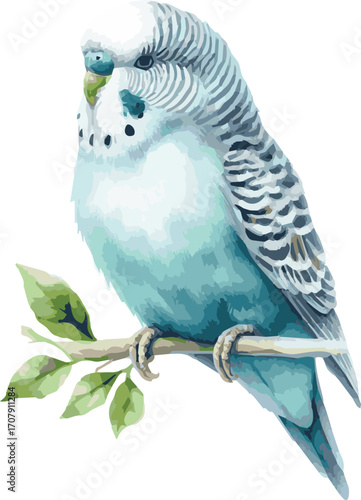 Cute watercolor vector illustration of a blue budgie