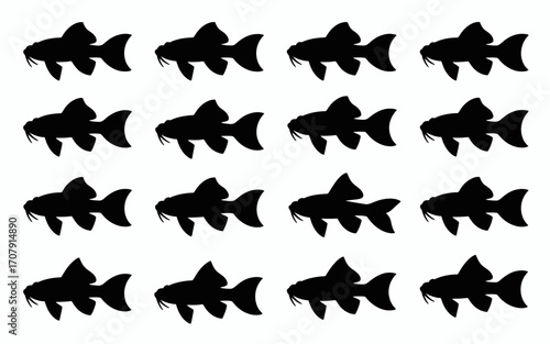 Vector art of various corydoras fish silhouettes