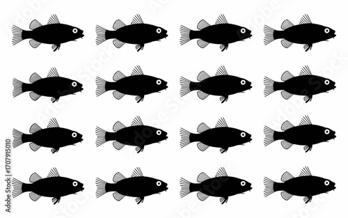 Vector art of collection of perch fish in black color
