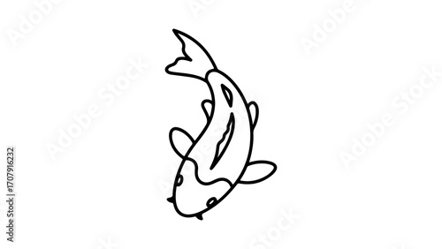 Koi fish outline with transparent background