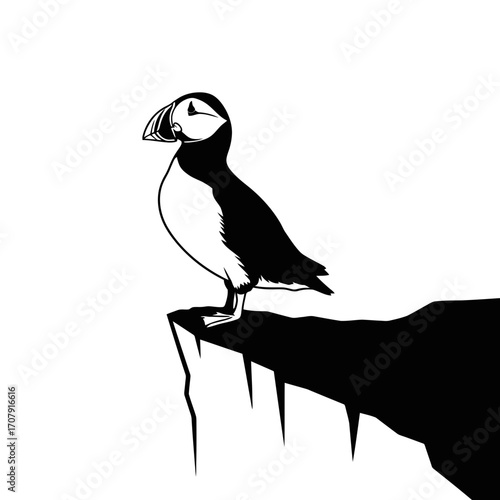 Puffin bird standing on a cliff edge silhouette isolated on white background