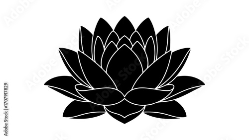 Lotus flower with transparent background
