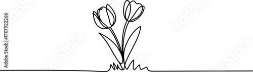 Two elegant tulips drawn with a single continuous black line flower floral