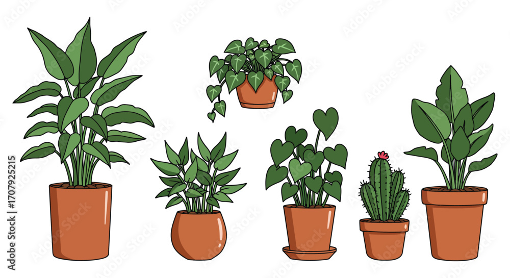 Fototapeta premium various potted plants arranged neatly in a group