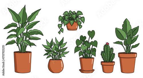 various potted plants arranged neatly in a group