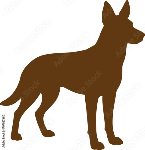 Silhouette of a standing brown german shepherd dog with alert ears and a focused gaze