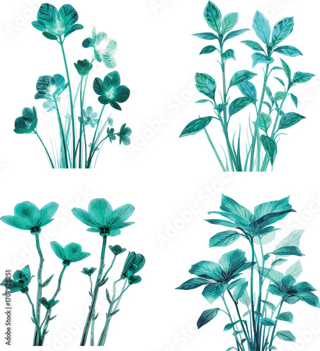 Various kinds of plant indoor and outdoor isolated white background 