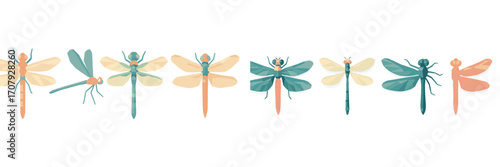 Diverse collection of colorful geometric dragonflies and damselflies in a modern polygonal design on a clean white background