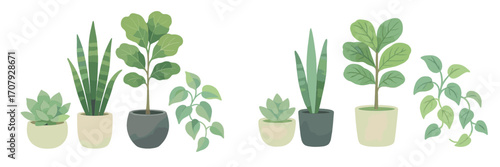 Assortment of popular green potted houseplants including succulents, snake plants, and fiddle-leaf fig for home decor