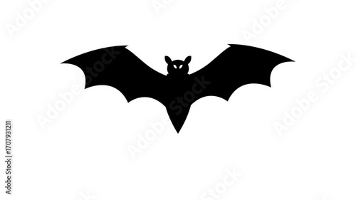 Silhouette of a flying bat on a white screen. Halloween concept.