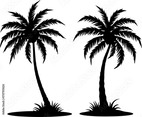 Silhouette of two tall palm trees standing on islands with sparse grass silhouette