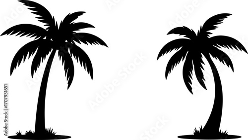 Silhouette tropical palm trees majestic beach scene nature elements silhouette