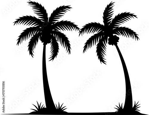 Silhouette of two palm trees standing tall with tropical foliage and sandy base silhouette