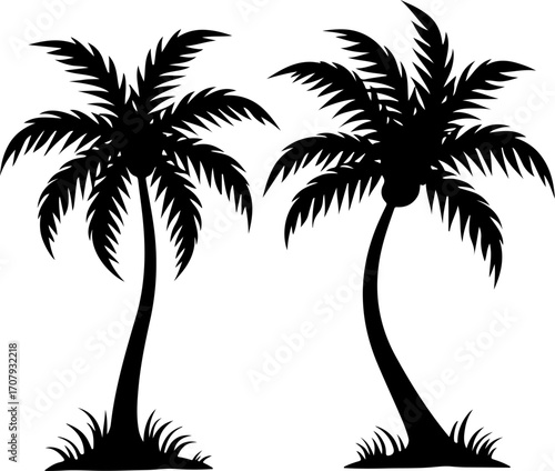 Two silhouette palm trees grass island tropical vacation beach summer holiday nature scene silhouette