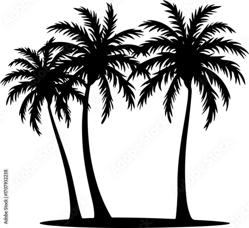 Silhouetted tropical palm trees isolated on for summer beach vacation vibes silhouette