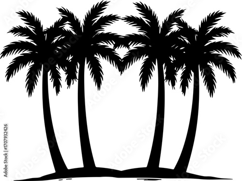 Silhouette of a lush tropical palm tree grove displayed prominently silhouette