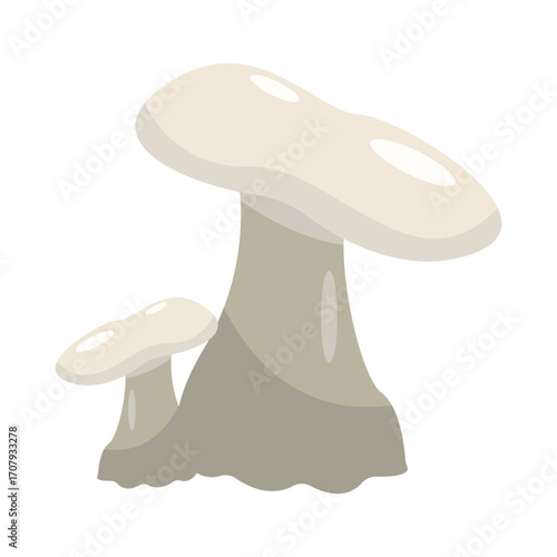 Elegant white mushrooms growing naturally on forest floor surrounded by green foliage