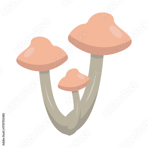 Soft, pink mushrooms growing in a serene forest setting with delicate greenery surrounding them