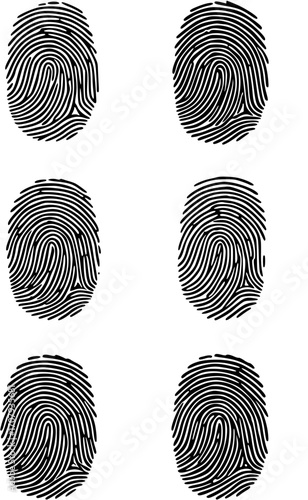 variation of fingerprint silhouettes for biometric identification
