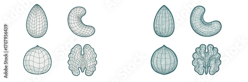Abstract wireframe nut collection featuring almond, cashew, and walnut shapes with intricate grid patterns on white
