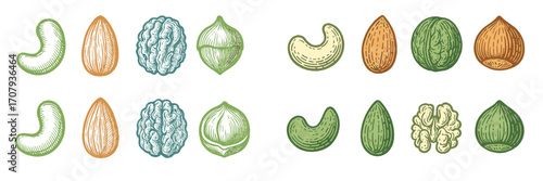 Stylized collection of various healthy nuts including cashew, almond, walnut, and hazelnut kernels in a vintage engraved style