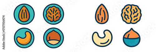 Collection of healthy and nutritious nuts including almond walnut cashew and hazelnut symbols for diet