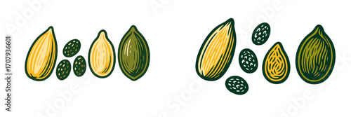 Stylized pumpkin seeds and kernels in various forms, showcasing healthy food, snack, and nutritional elements for graphic design