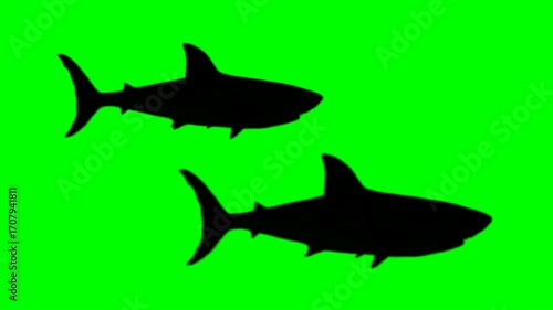 animated shark silhouette on a green background	