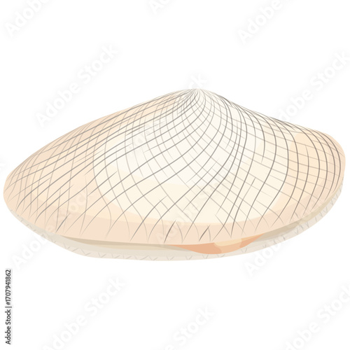 Vector of clam with slightly opened shell, perfect for seafood menus and culinary design.