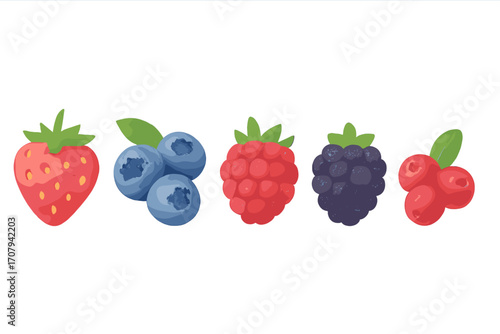 Fresh healthy organic summer berries assortment with strawberry, blueberry, raspberry, blackberry, and cranberry