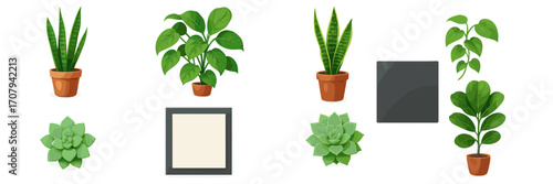 Diverse collection of popular green potted houseplants including snake plants, succulents, and decorative empty frames for interior design