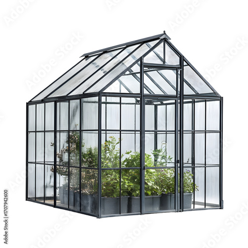 Modern Greenhouse with Metal Frame: Professional Botanical Space Design
