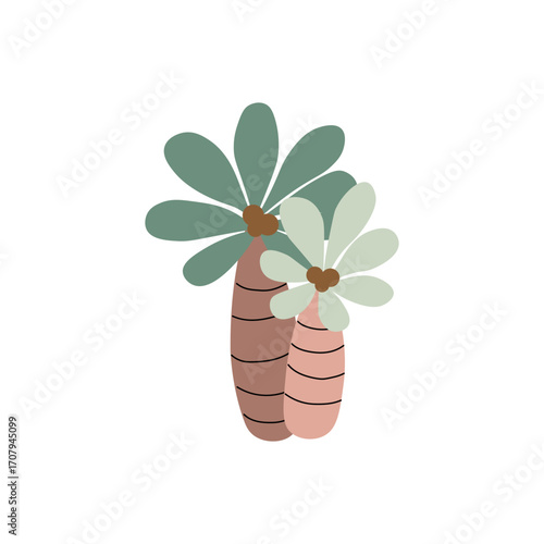 Decorative Jungle Plants with Rounded Leaves