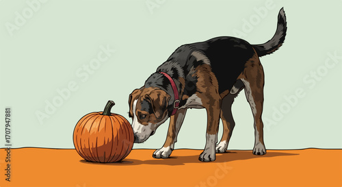 Cute dog with pumpkin for autumn, illustration of dog sniffing a tiny pumpkin. Dog enjoying autumn, its cute gesture captured, an autumn moment. Celebration of autumn with dog,