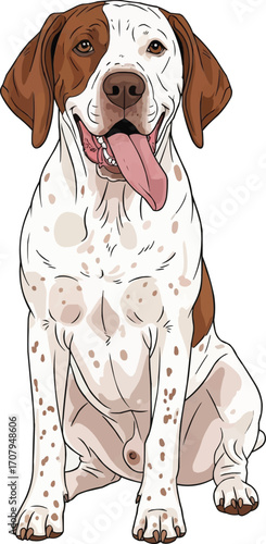 Braque Saint Germain dog sitting relaxed happy panting illustration