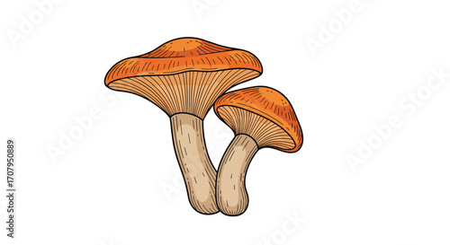 Illustration of two orange mushrooms on a white background.